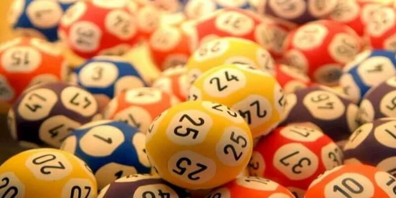 bạch thủ lô là gì